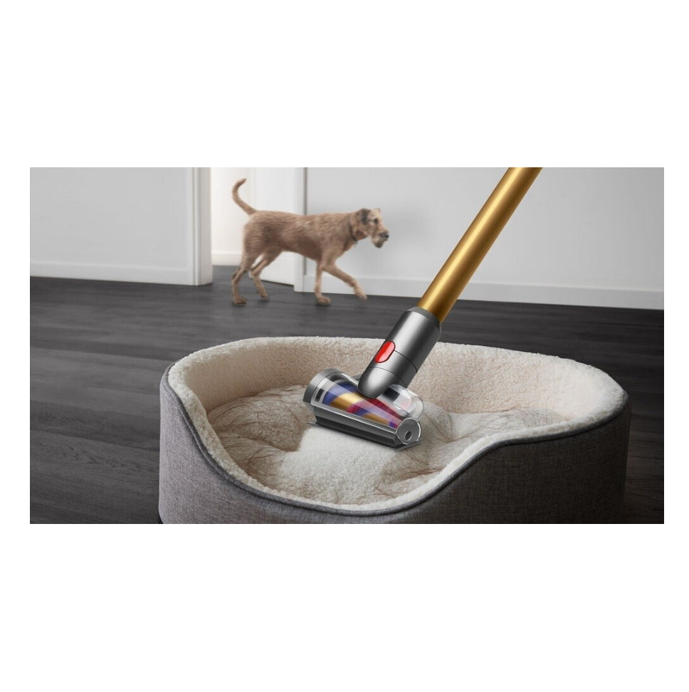 Dyson V15 Detect Absolute Kabelloser Staubsauger (Gold) mit HEPA Filter